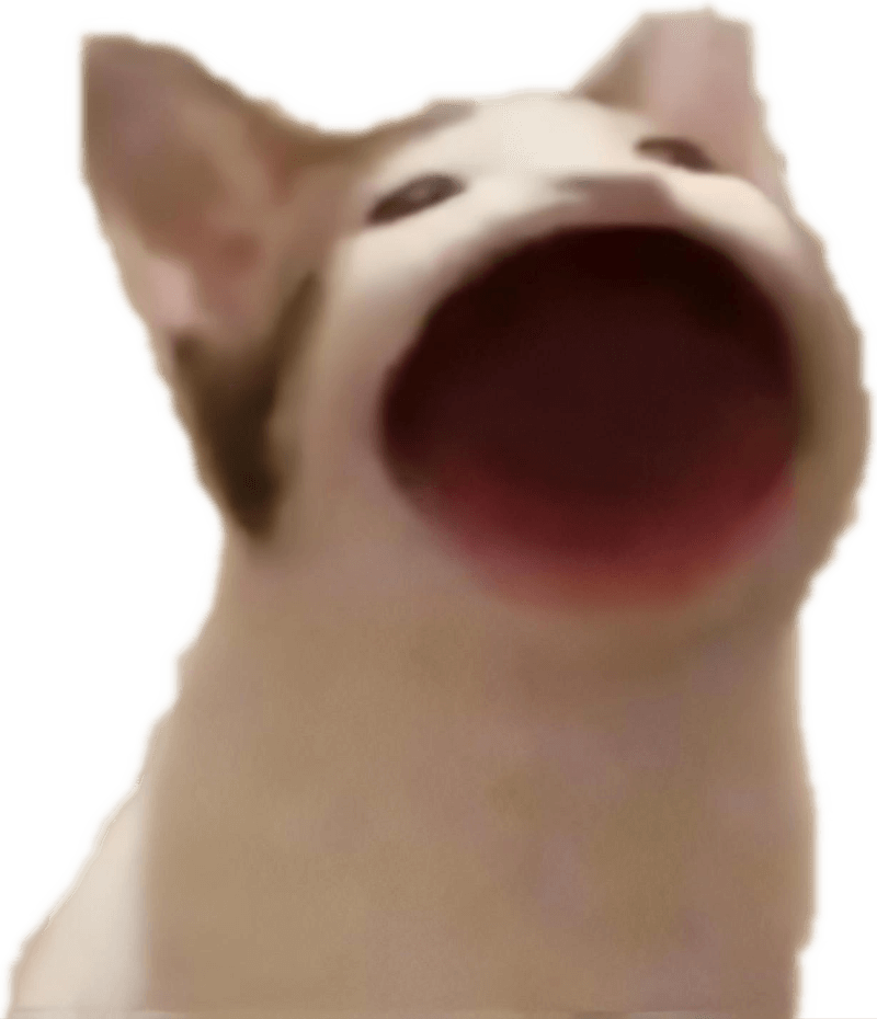 Pop Cat